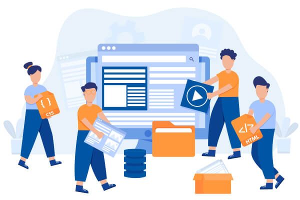 Collection Management